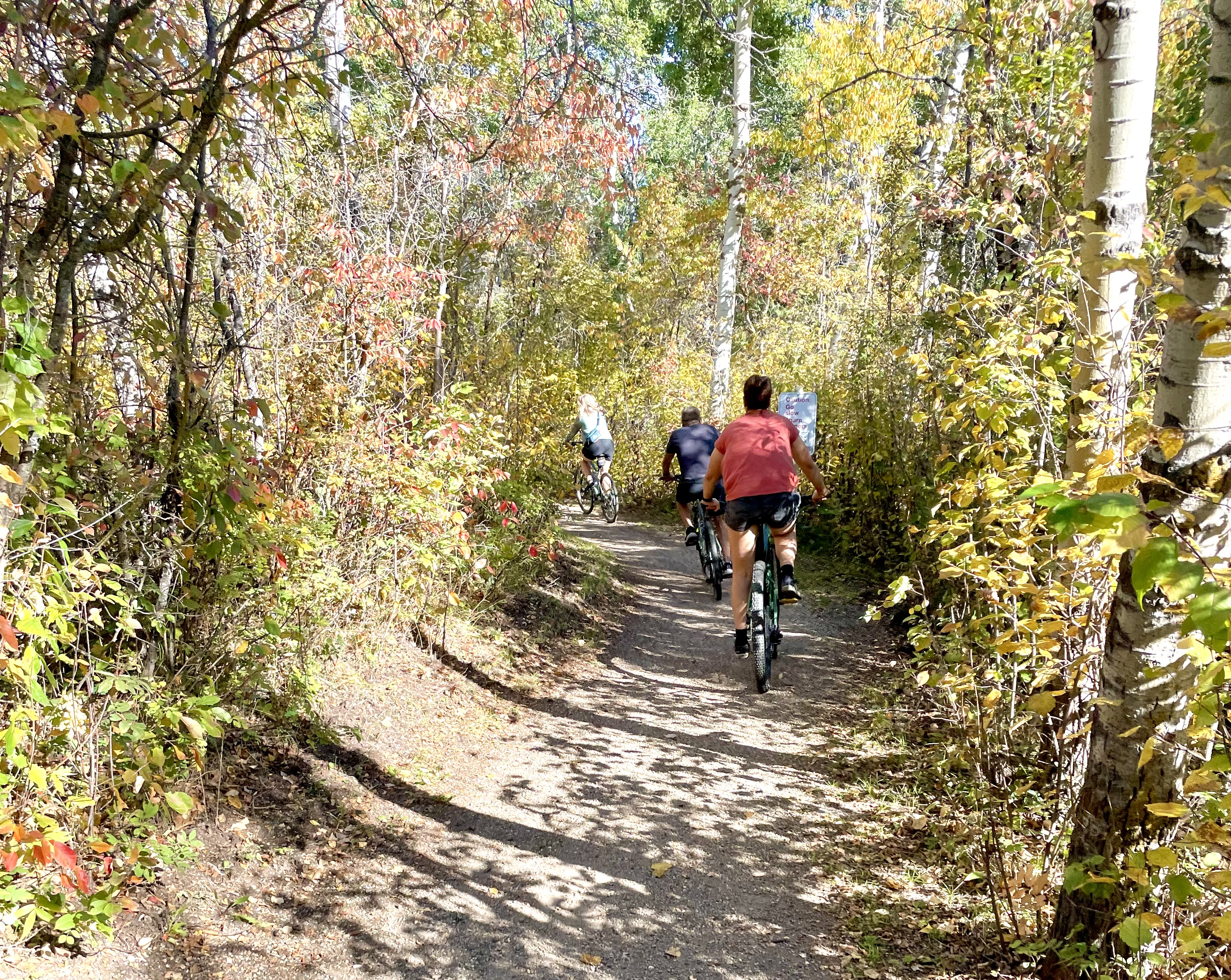 Fietsen door het bos