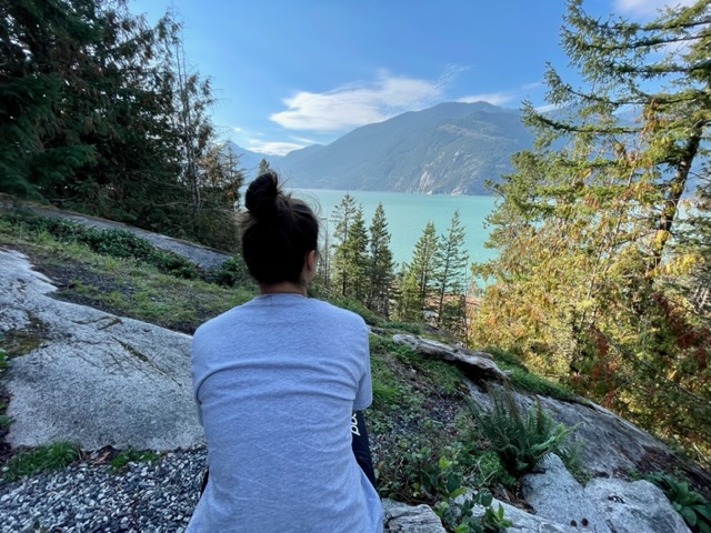 Ies met oceaan uitzicht