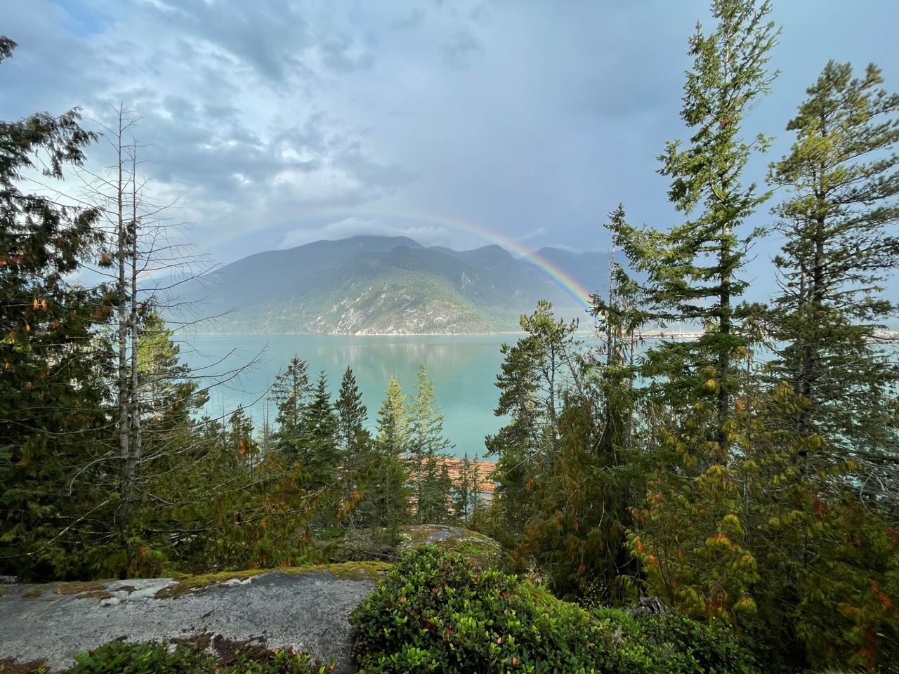 regenboog over de baai