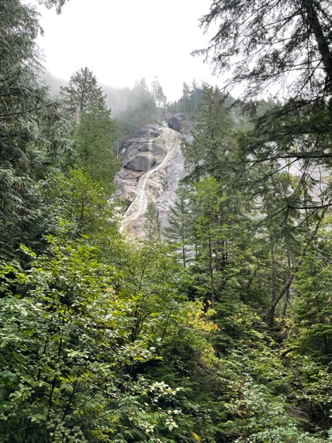 shannon falls