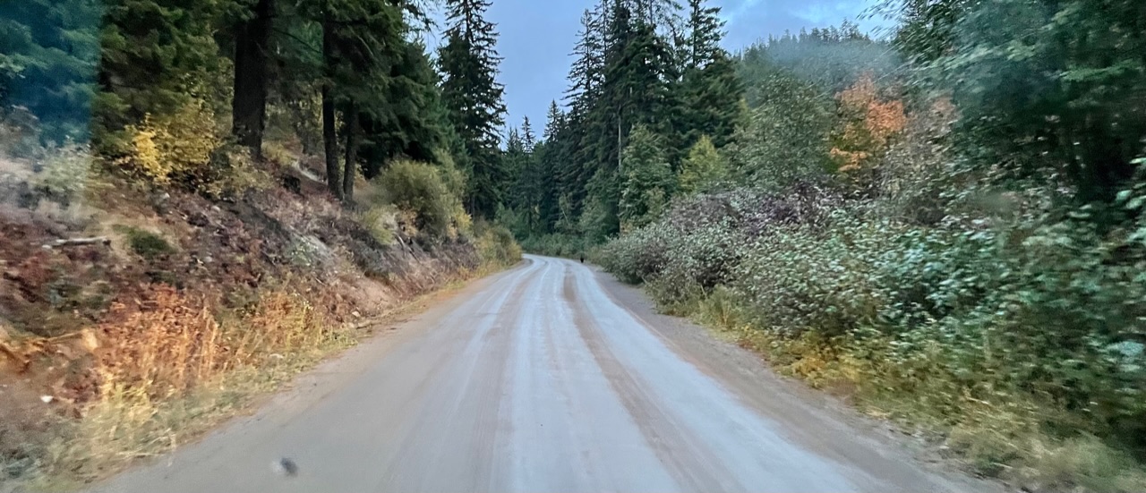 beer op de onverhardeweg