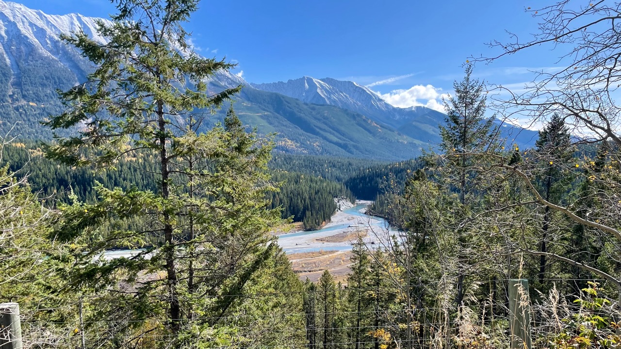 Ies en Ro in de VS (en Canada)