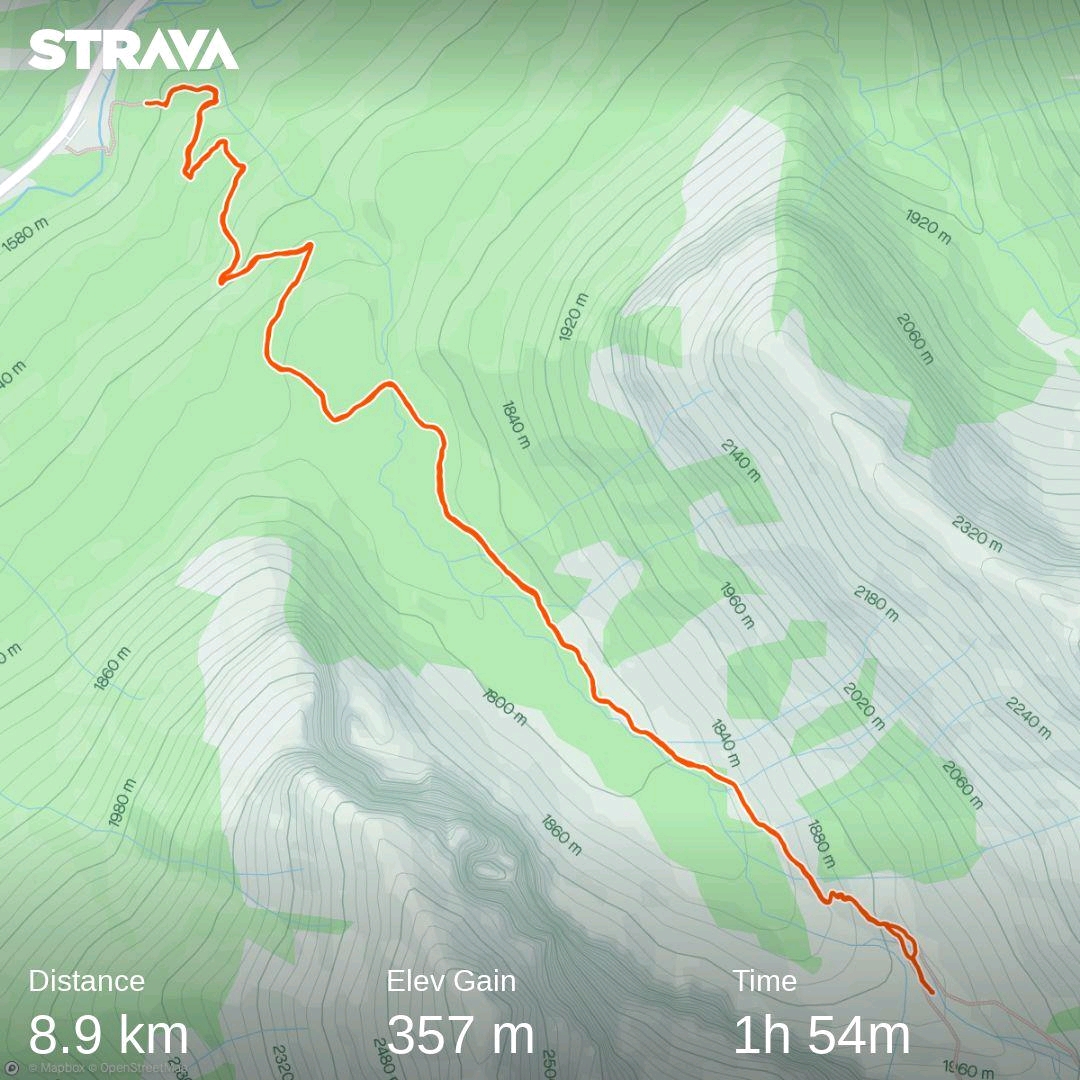 strava kaartje wandeling