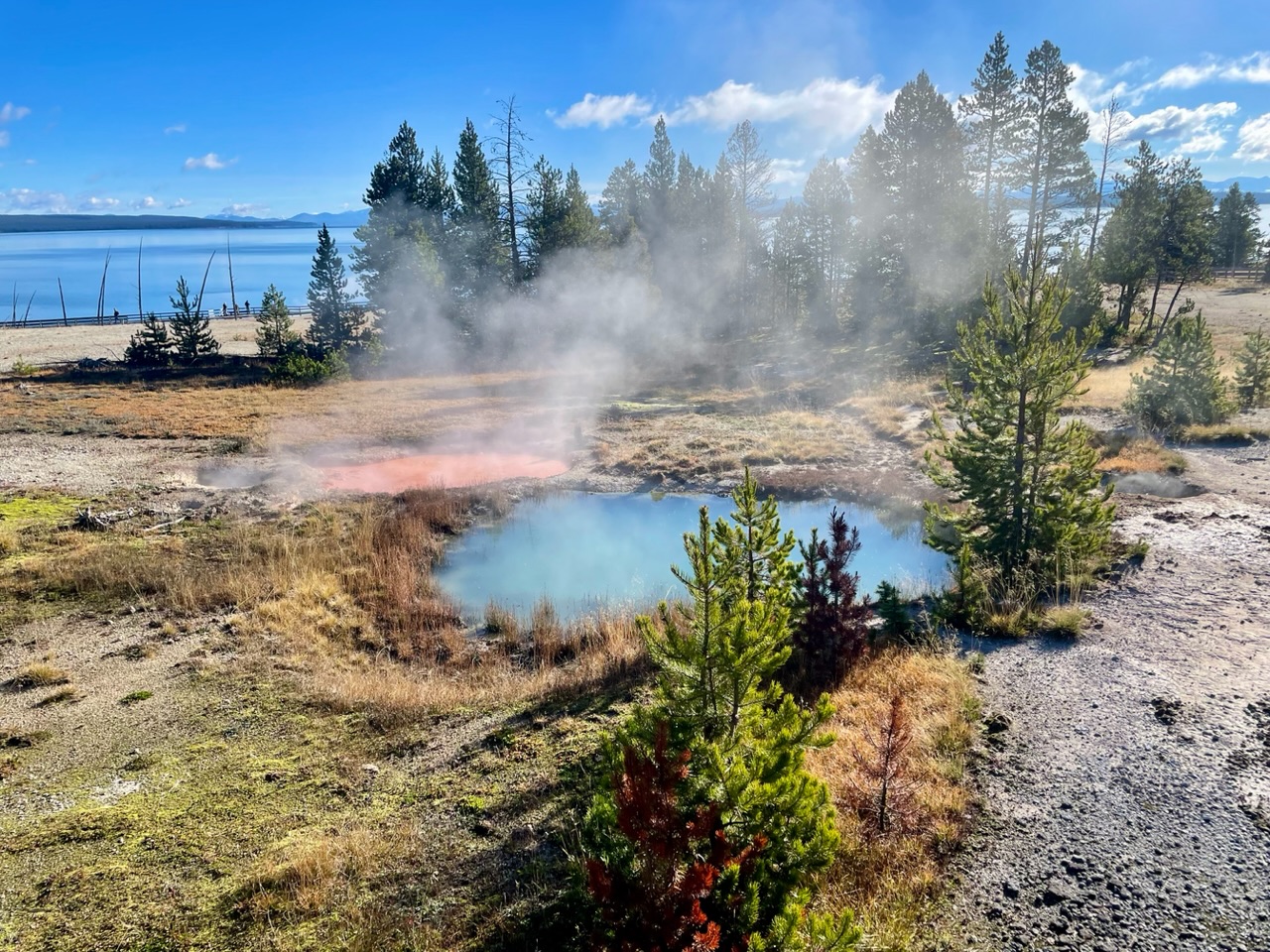 Ies en Ro in de VS (en Canada)
