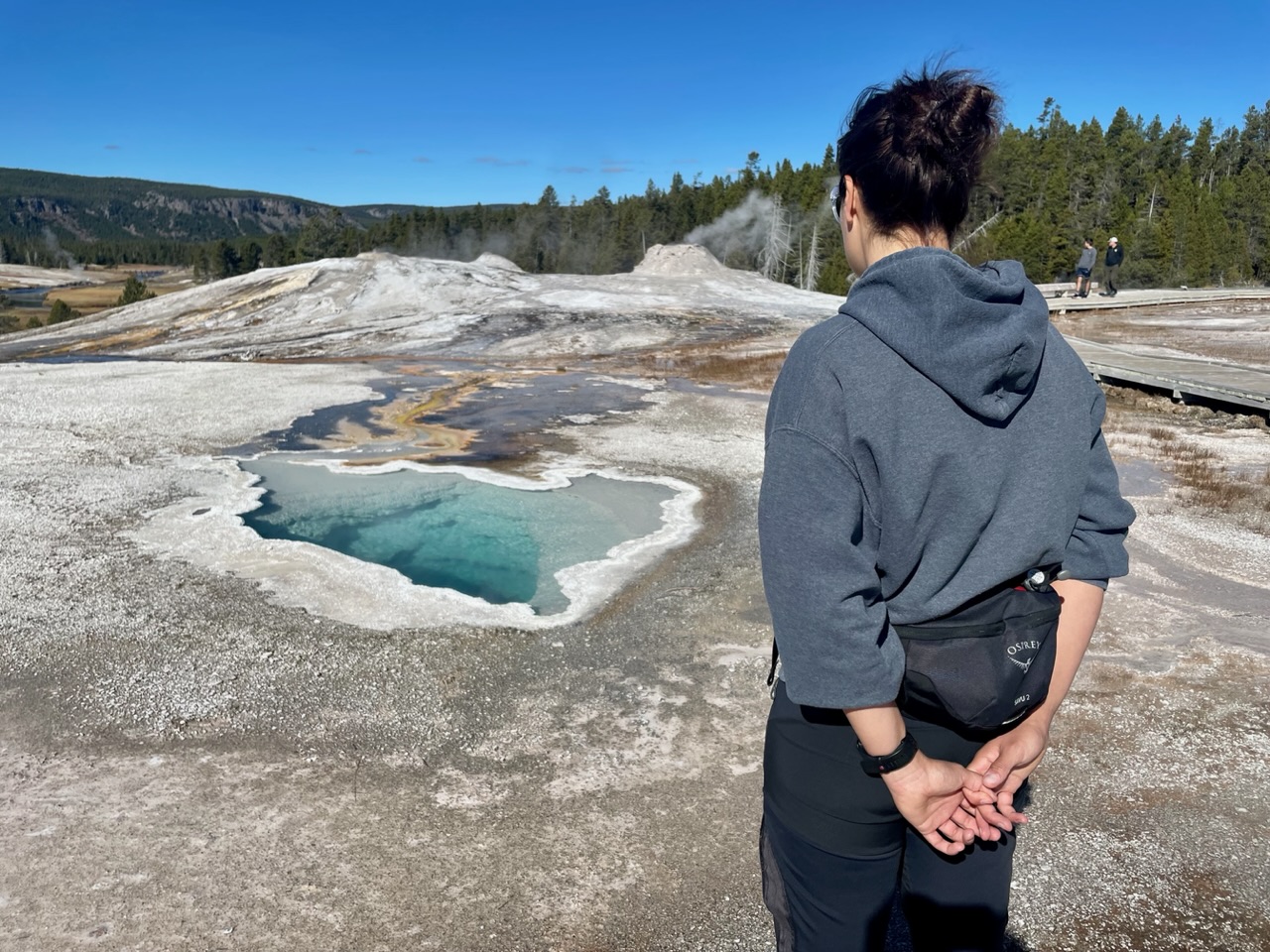 ies voor de heart geyser