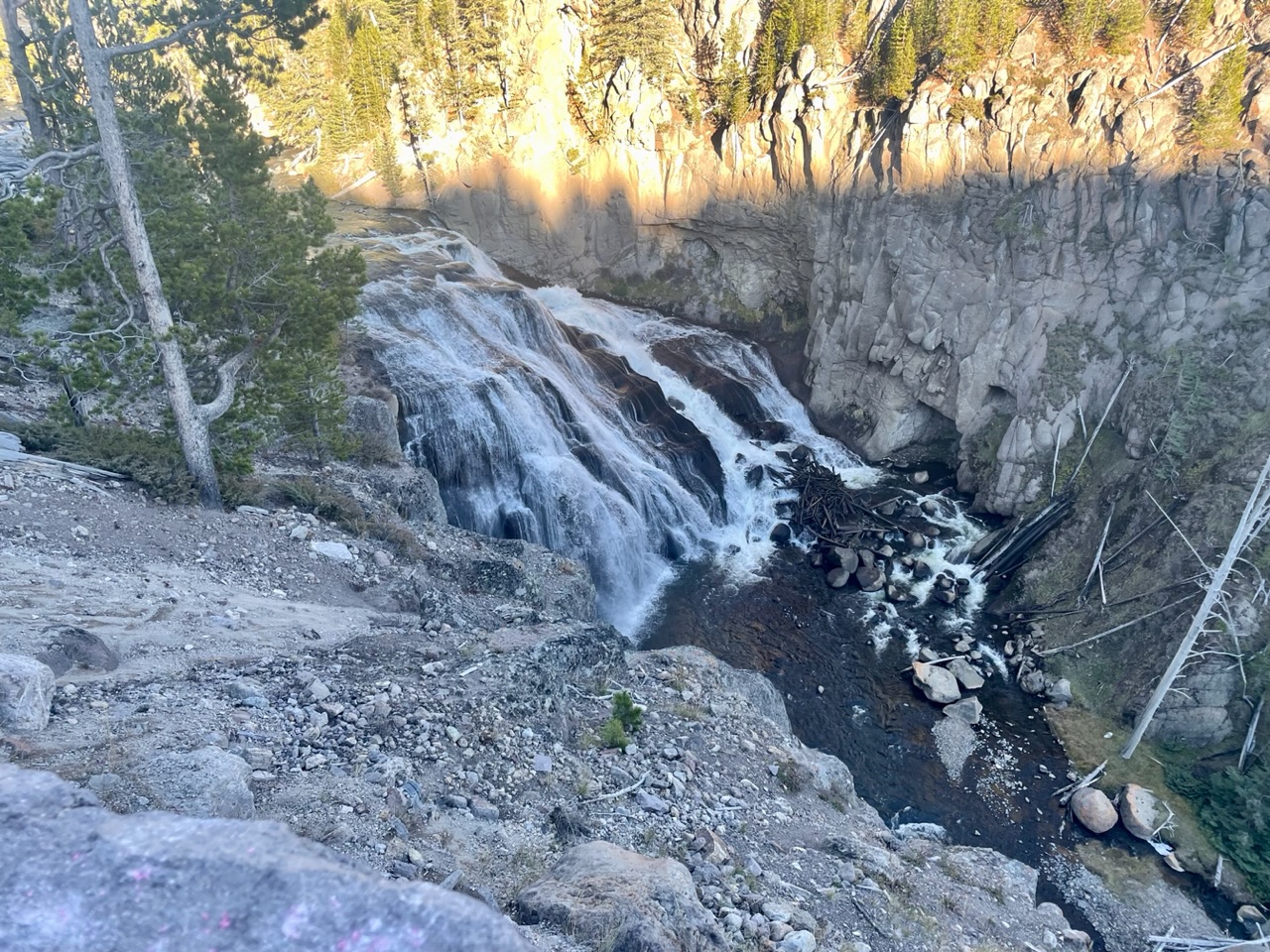 gibbon falls