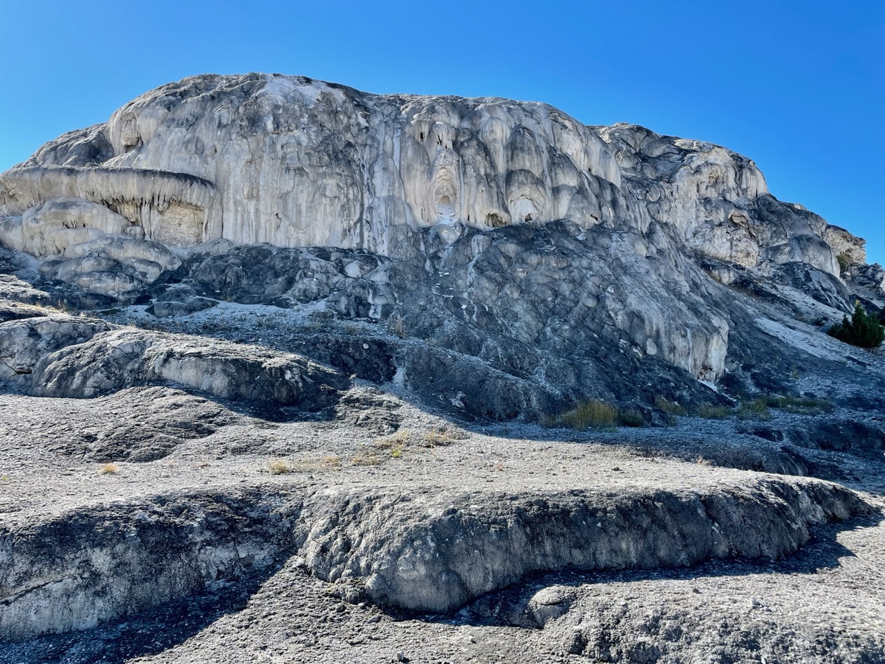 Mammoth Basin Jupiter terras