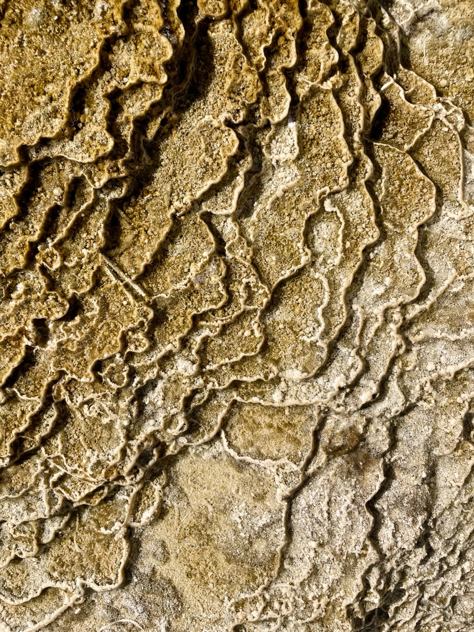 Mammoth Basin bruin textuurtje