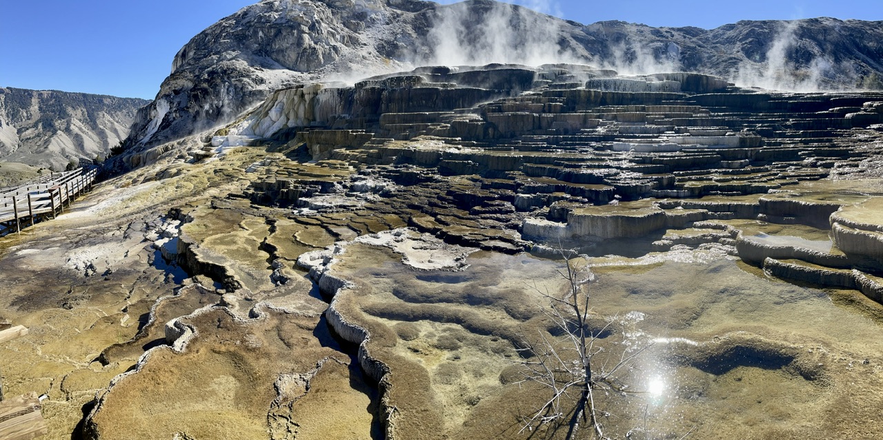 Mammoth Basin Minerva terras