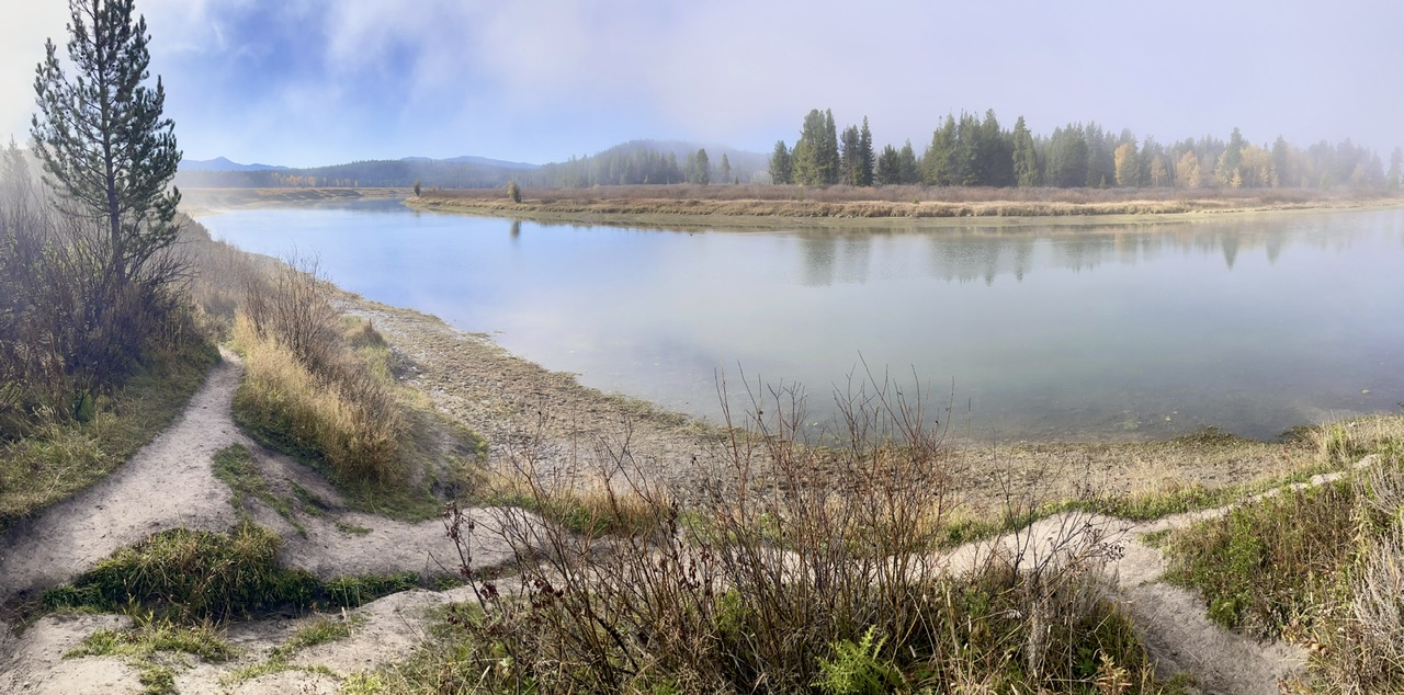 oxbow bend in de mist