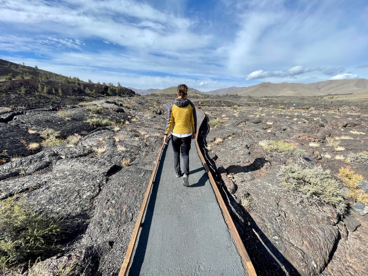 Ies loopt over lava veld