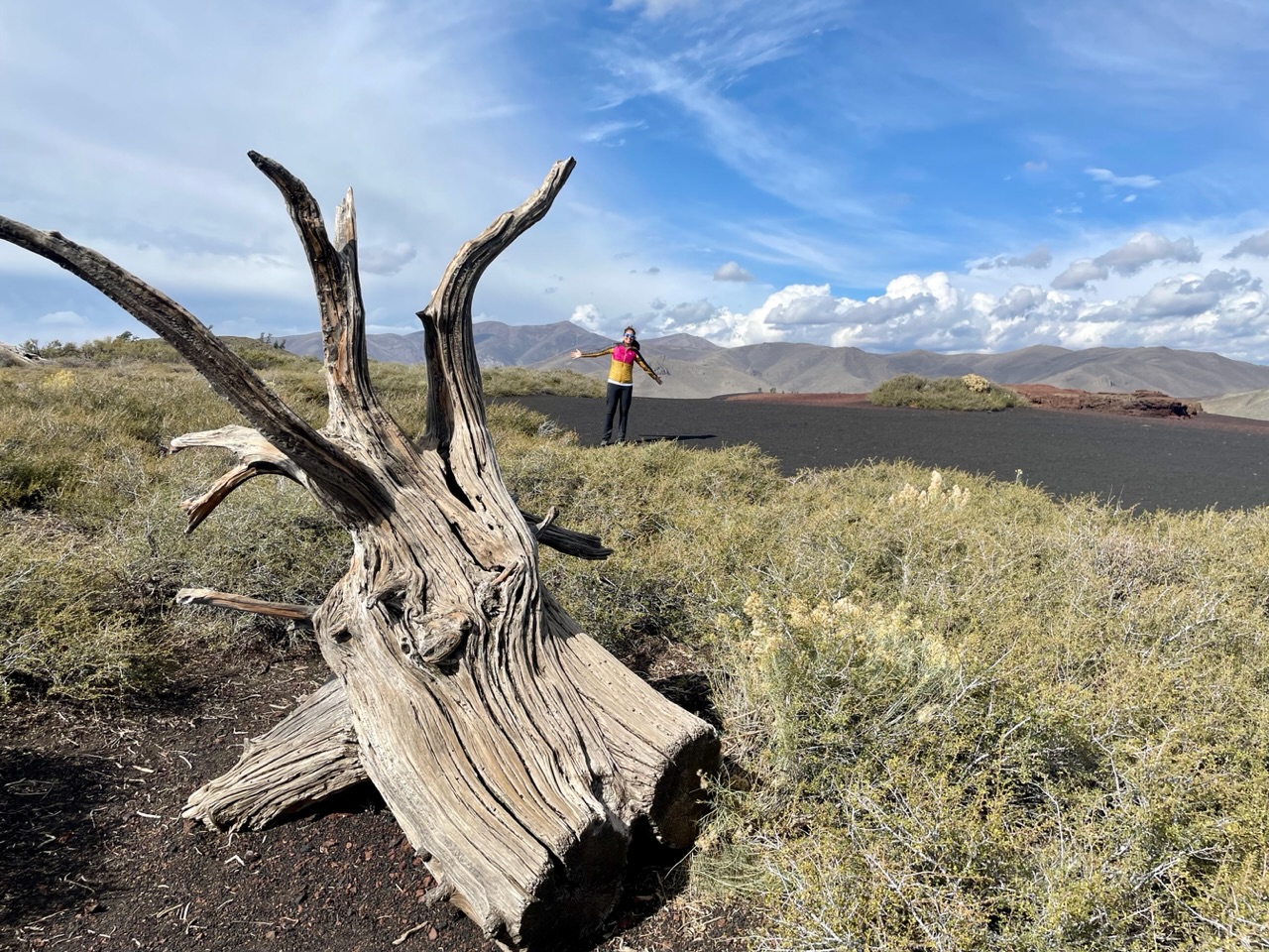 Ies en Ro in de VS (en Canada)