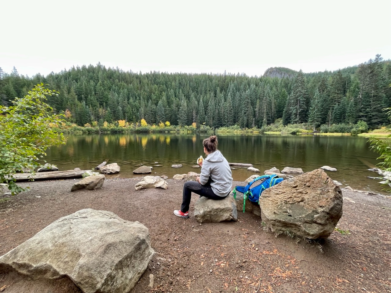 Ies en Ro in de VS (en Canada)