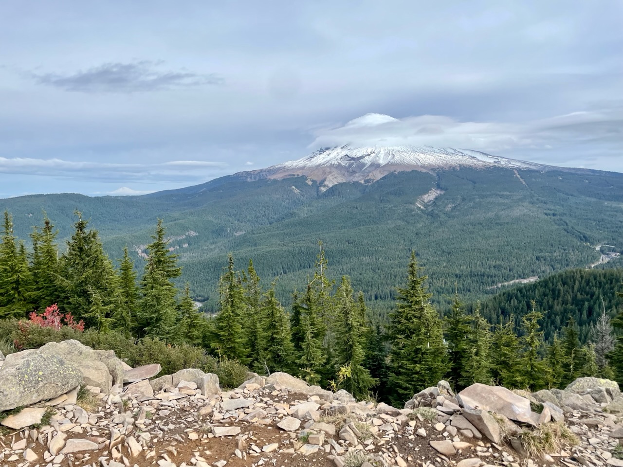 Ies en Ro in de VS (en Canada)