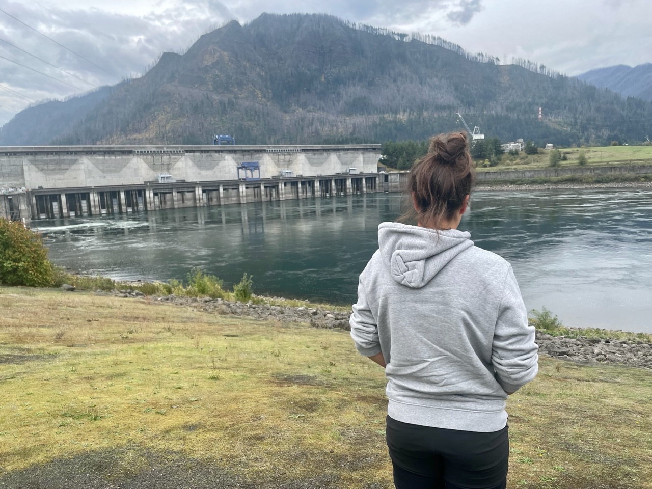 Ies en Ro in de VS (en Canada)