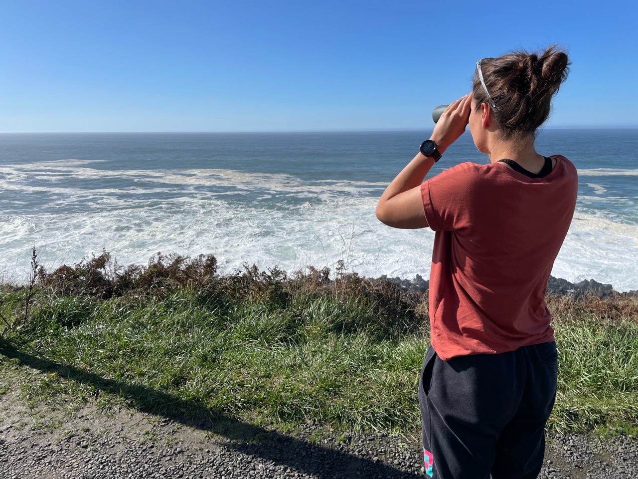 Ies verrekijker walvissen