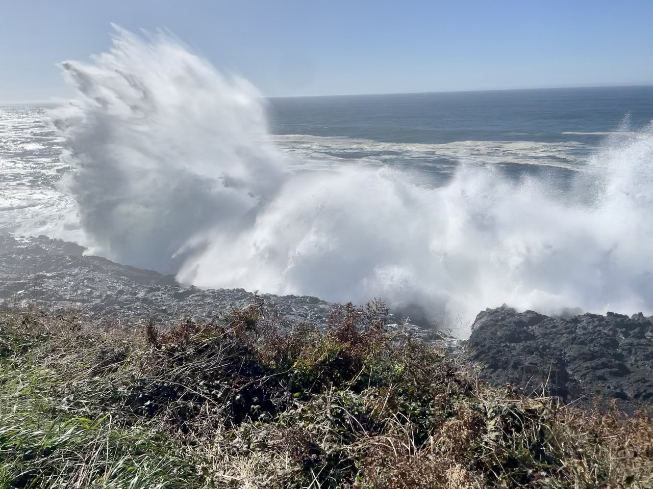 Ruige zee bij walvis kijken