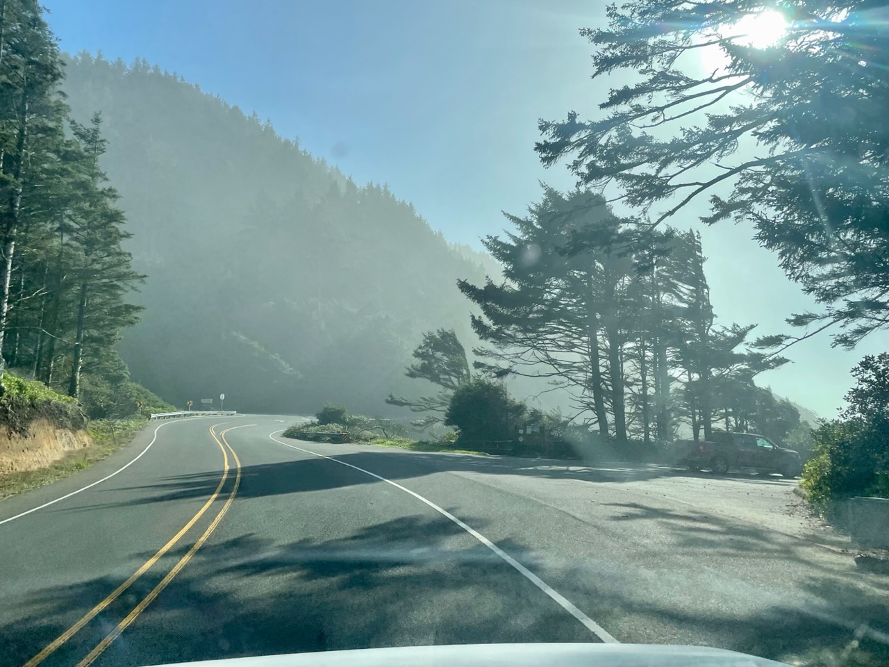 Kustweggetje met mist in bos