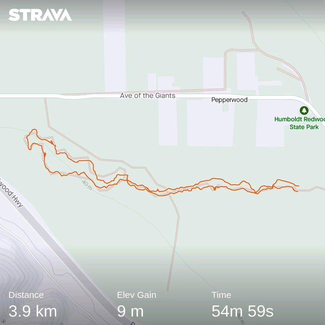Strava Redwoods