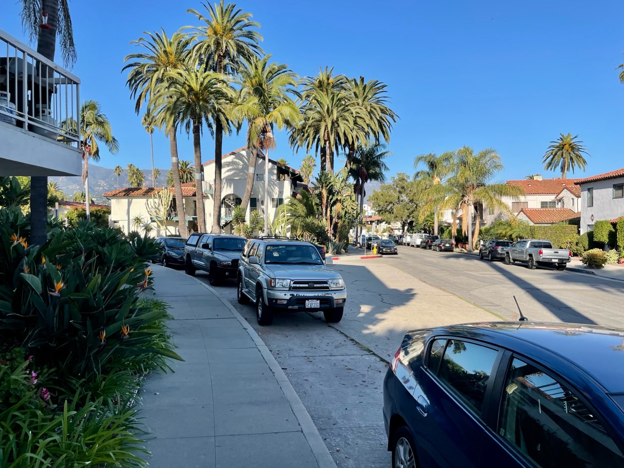 woonwijk santa barbara met palmbomen