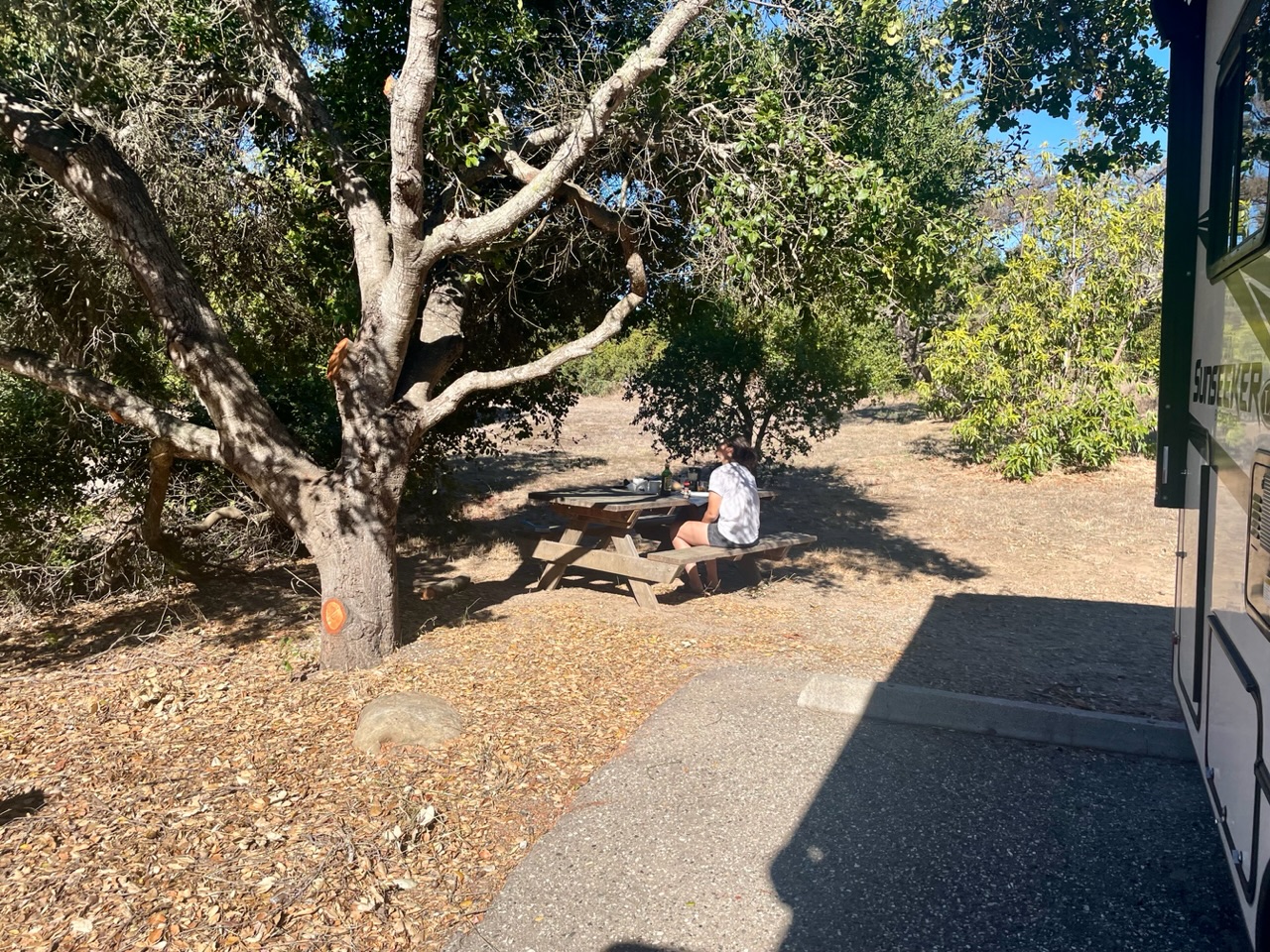 ontbijt onder de boom