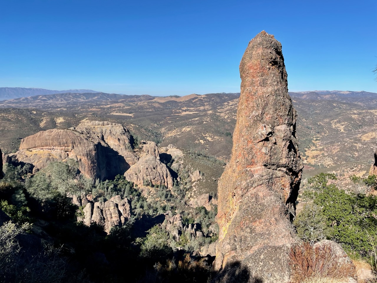 Pinnacle in pinnacles