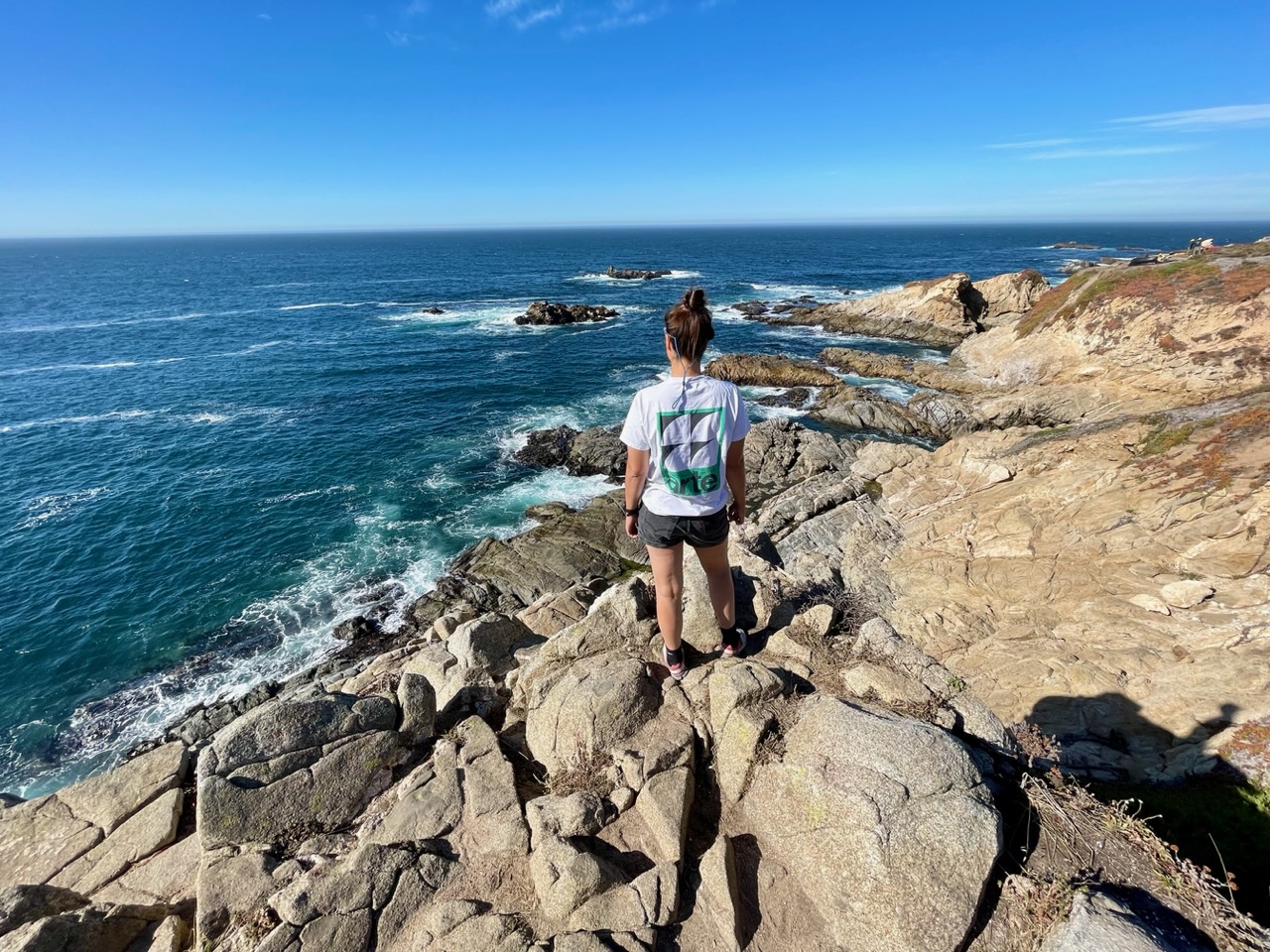 Ies kijkt over de oceaan