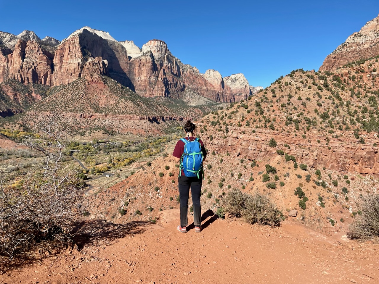 Ies op de Watchman Trail