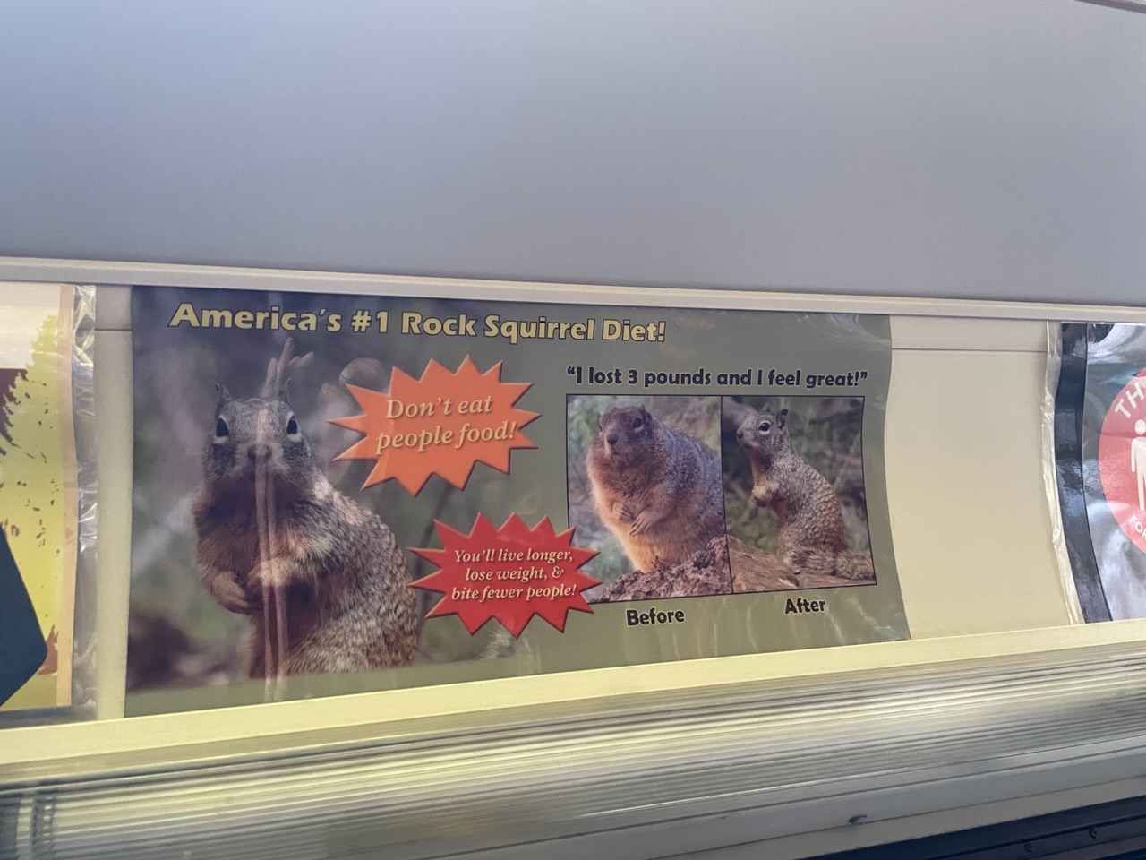 don’t feed the squirrels