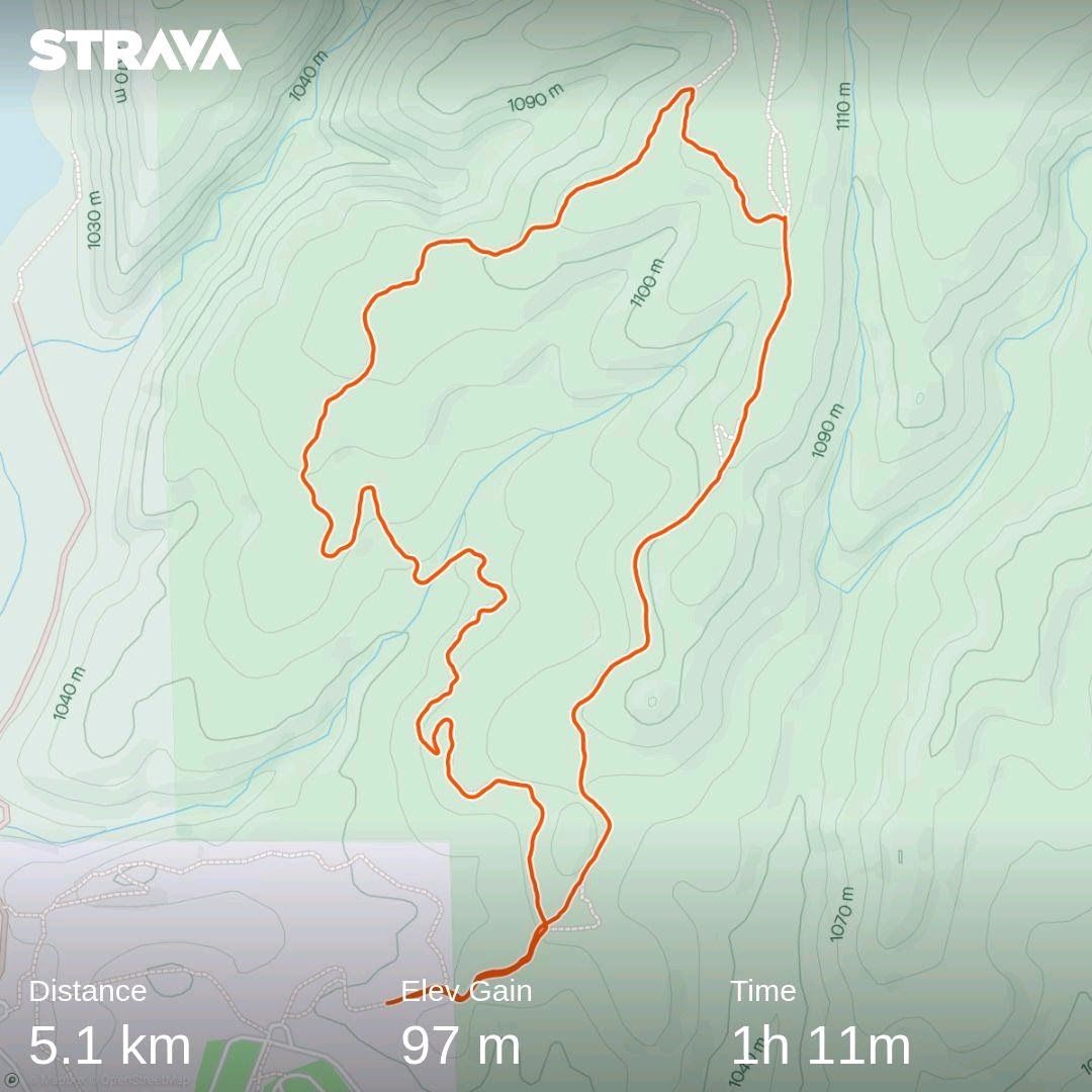 Strava kaartje zieke wandeling