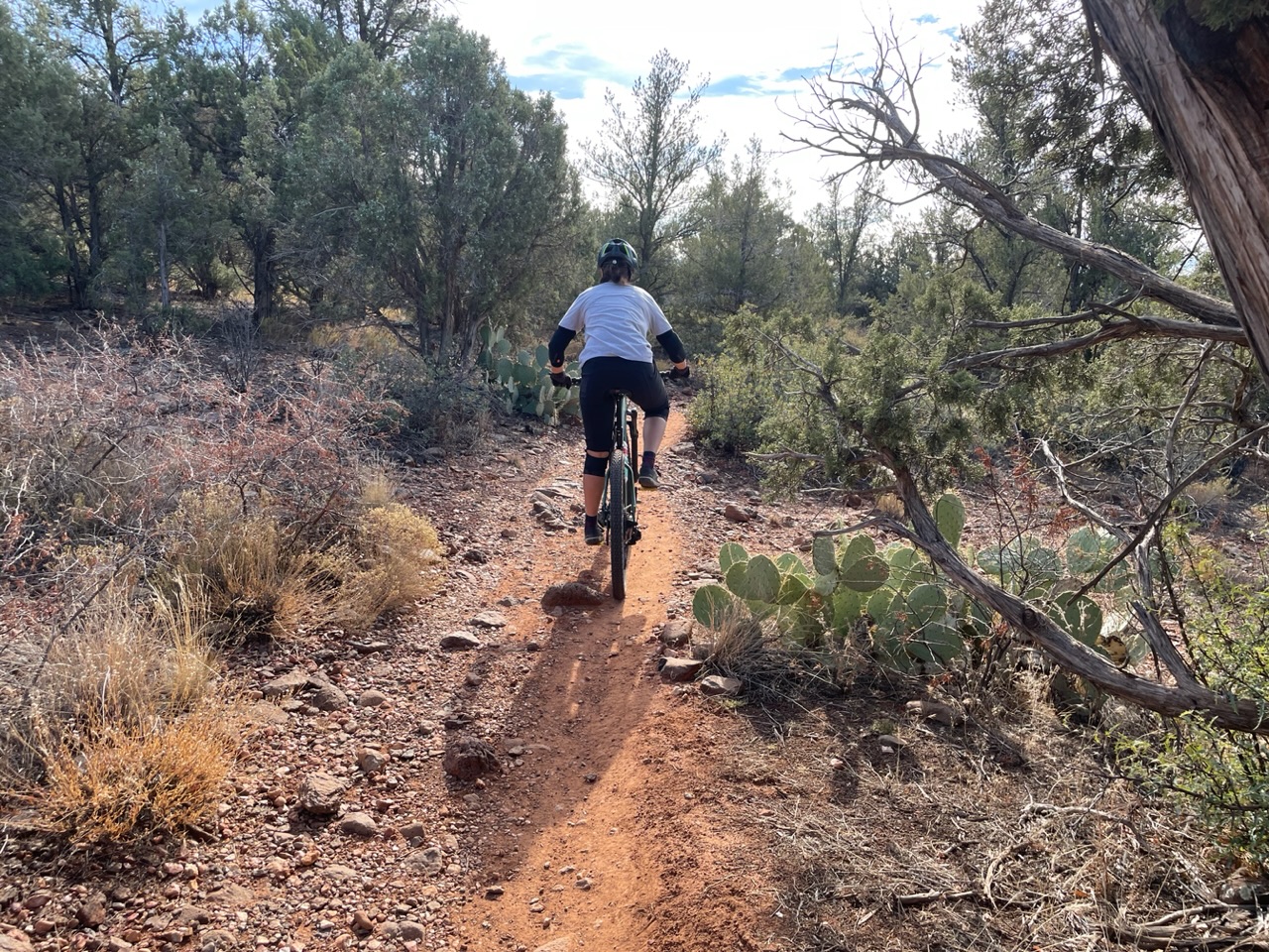 Ies door de cactussen