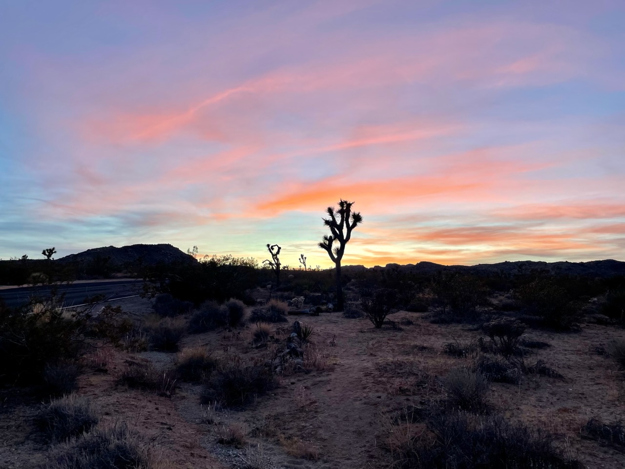 zonsondergang joshua tree